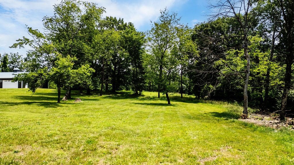 Tbd Newtown Road Greenwood, VA 22943 - Photo 8 of 33