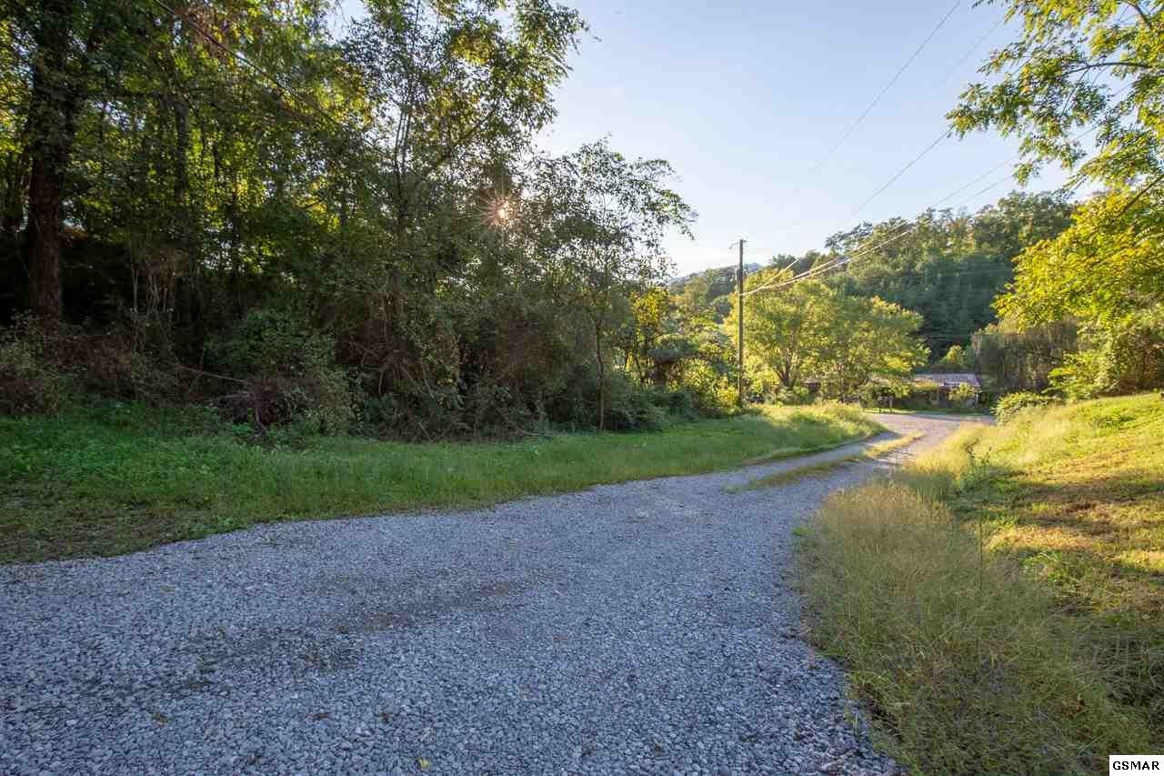 2219222 Goose Gap Road Sevierville, TN 37876 - Photo 4 of 12