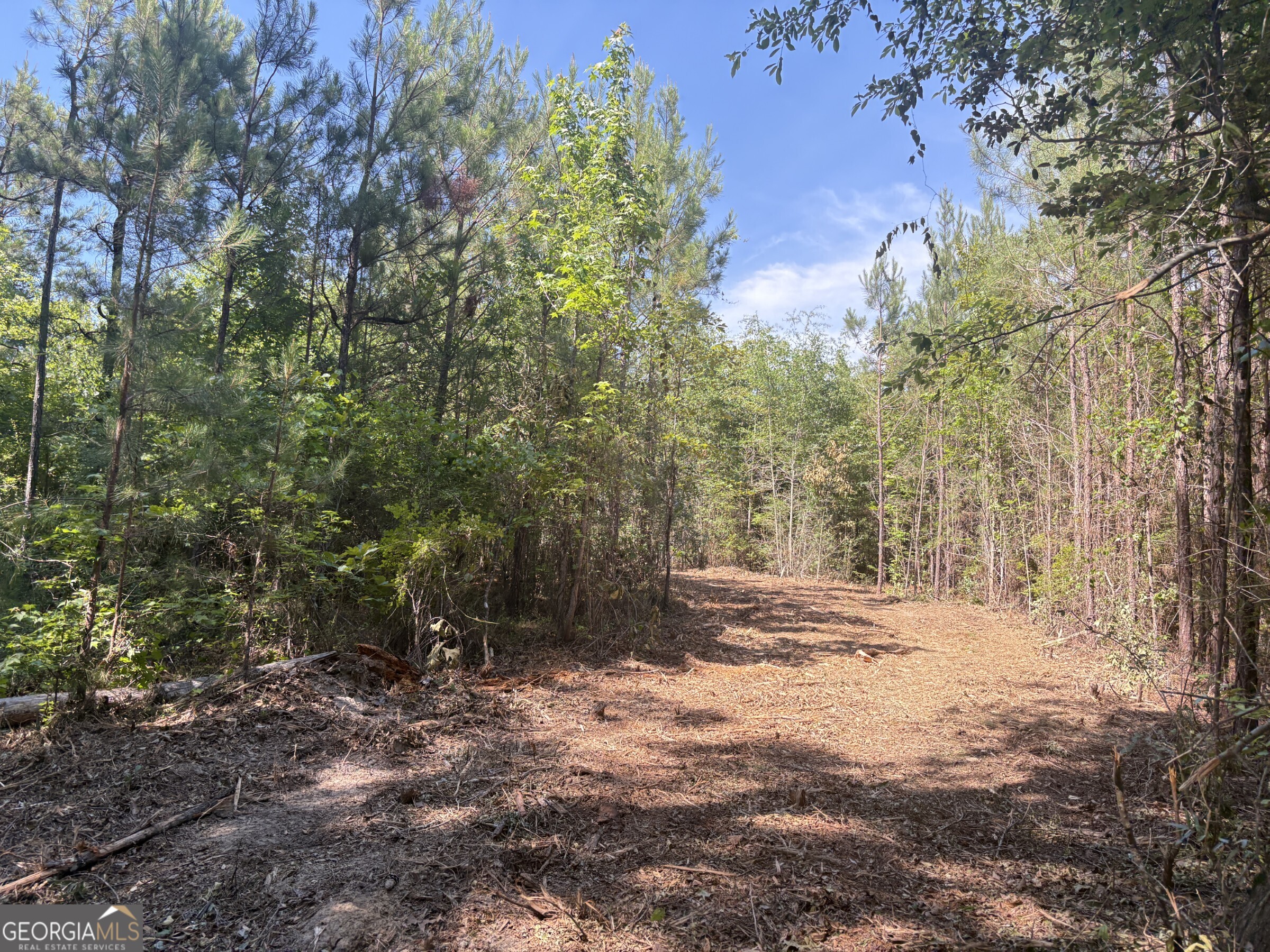 L1 Prosser Road Sandersville, GA 31082 - Photo 7 of 10