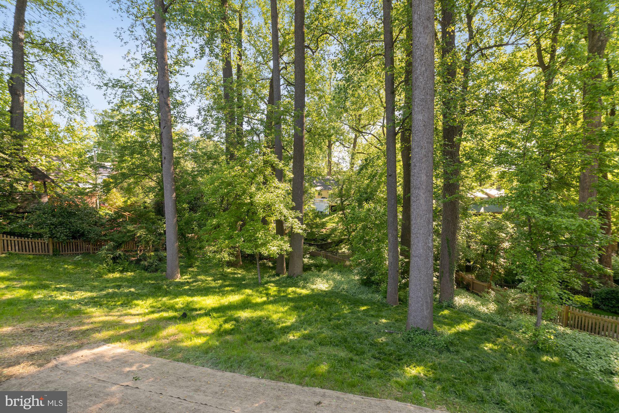 2817 Covington Road Silver Spring, MD 20910 - Photo 8 of 24 Gallery Image 8