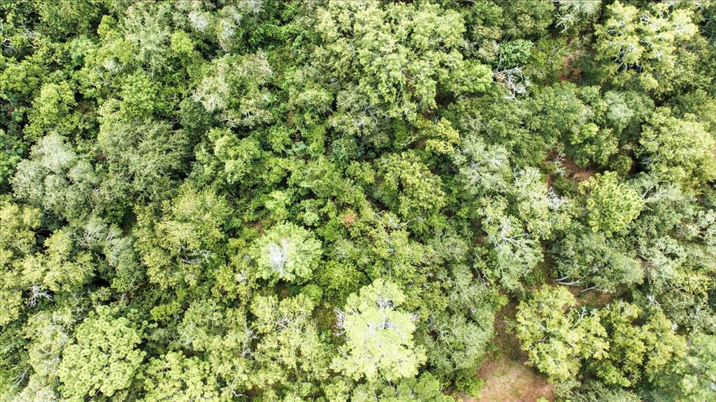 Linden Dr Spring Hill Spring Hill, FL 34608 - Photo 20 of 20