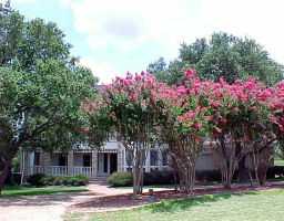 61 Pascal Lane Austin, TX 78746 - Photo 1 of 1