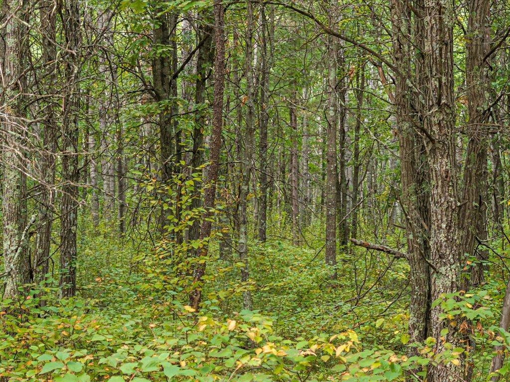 Lot A Lot A Sandbar Ln Mission Merrifield, MN 56465 - Photo 1 of 18