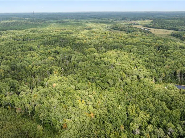 $149,000 | Lot A Lot A Sandbar Lane, Merrifield, MN 56465
