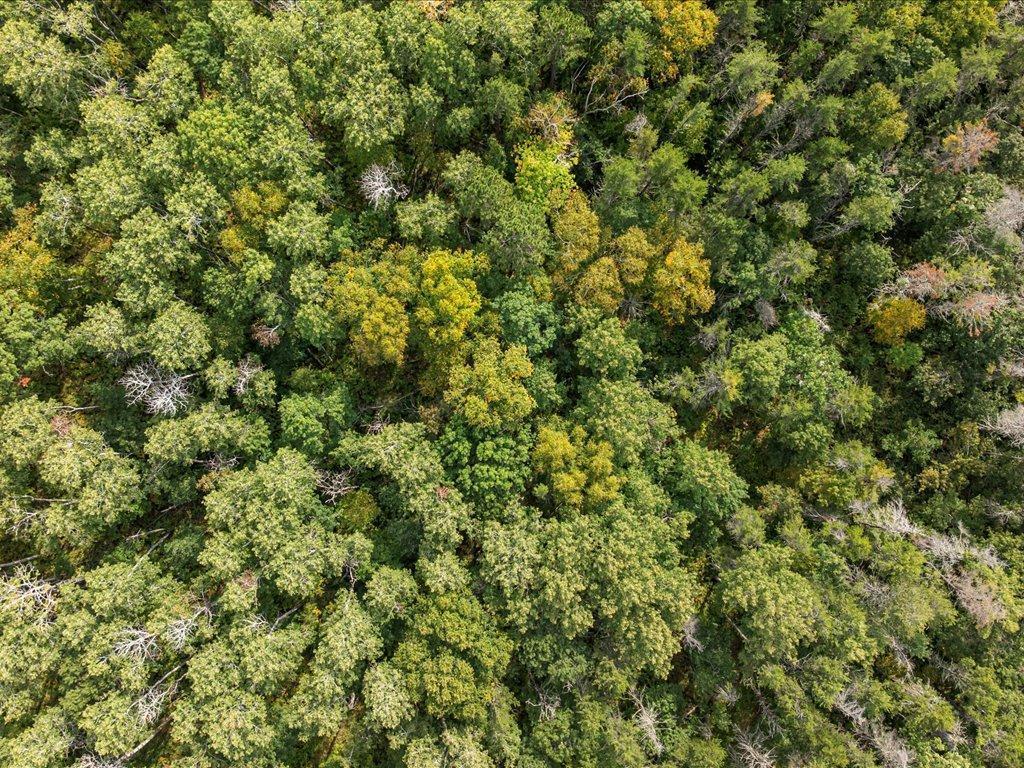 Lot A Lot A Sandbar Ln Mission Merrifield, MN 56465 - Photo 5 of 18