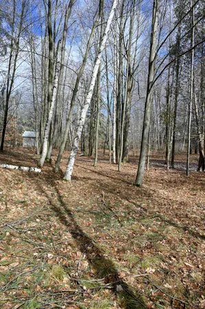 $30,000 | 9828 Pontiac Trail, Evart, MI 49631
