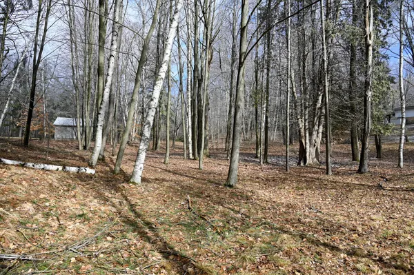 $30,000 | 9828 Pontiac Trail, Evart, MI 49631