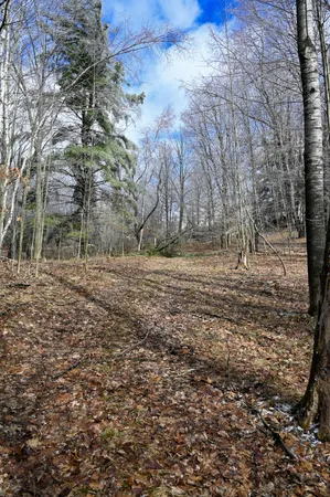 $30,000 | 9828 Pontiac Trail, Evart, MI 49631