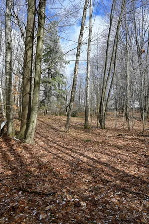 $30,000 | 9828 Pontiac Trail, Evart, MI 49631