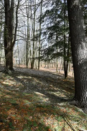 $30,000 | 9828 Pontiac Trail, Evart, MI 49631