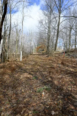 $30,000 | 9828 Pontiac Trail, Evart, MI 49631