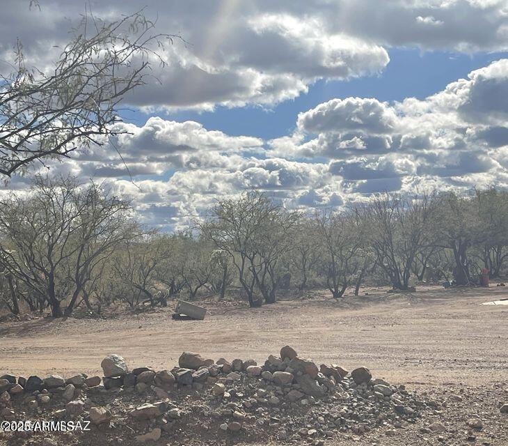 a view of a yard with snow on the road