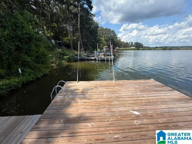 105 Hollis Court Road Vincent, AL 35178 - Photo 19 of 41 Gallery Image 19