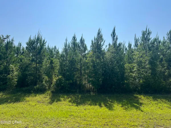 $75,000 | 0 Southeast Nadine Stone Landing Road, Wewahitchka, FL 32449