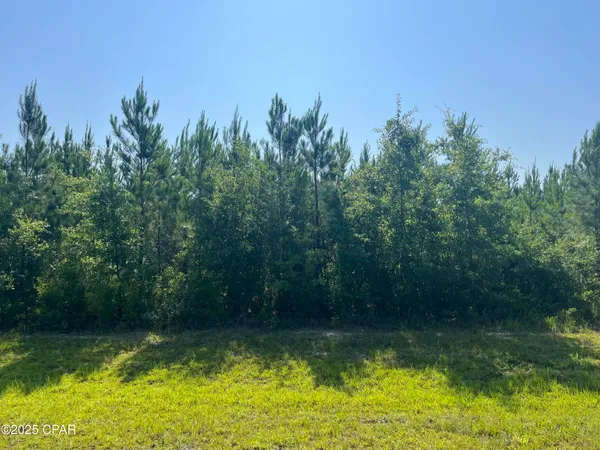 $75,000 | 0 Southeast Nadine Stone Landing Road, Wewahitchka, FL 32449