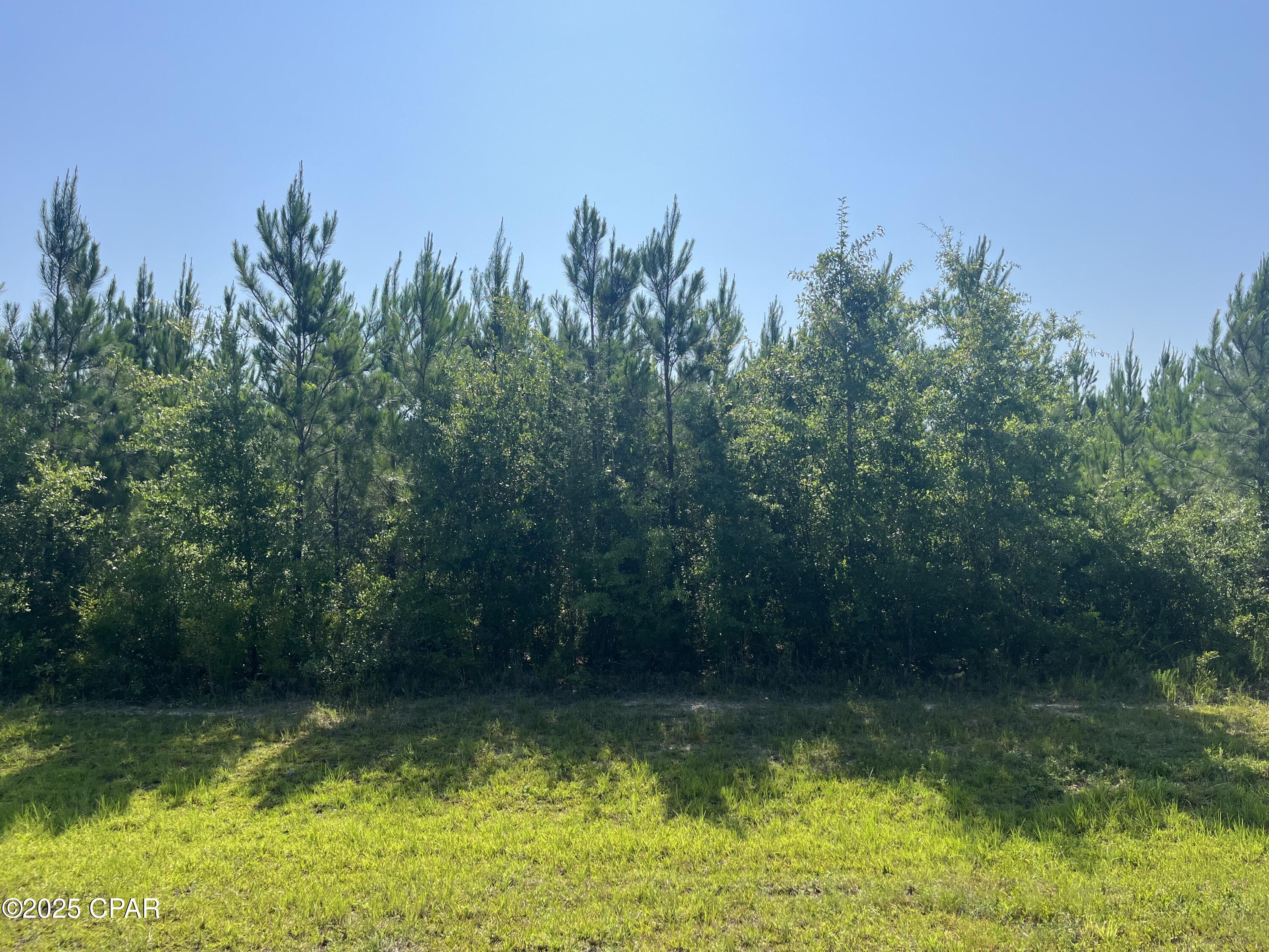 0 Southeast Nadine Stone Landing Road Wewahitchka, FL 32449 - Photo 2 of 6