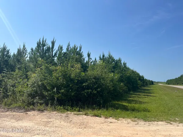 $75,000 | 0 Southeast Nadine Stone Landing Road, Wewahitchka, FL 32449