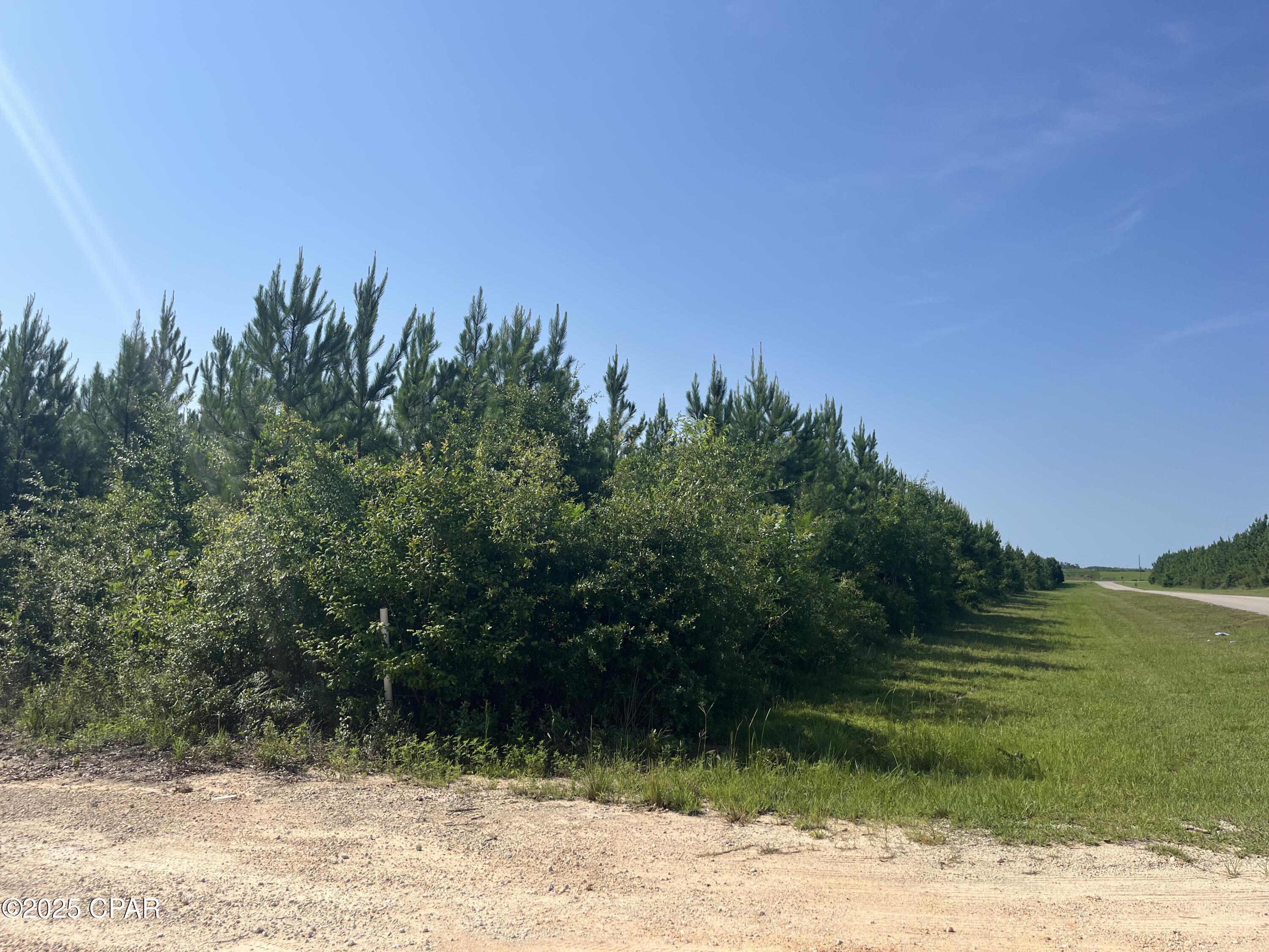 0 Southeast Nadine Stone Landing Road Wewahitchka, FL 32449 - Photo 3 of 6