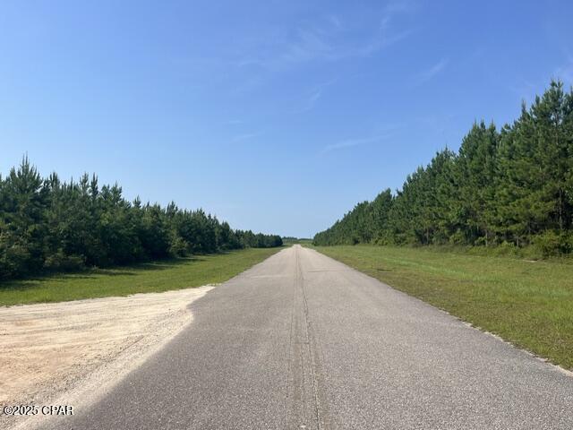 0 Southeast Nadine Stone Landing Road Wewahitchka, FL 32449 - Photo 4 of 6