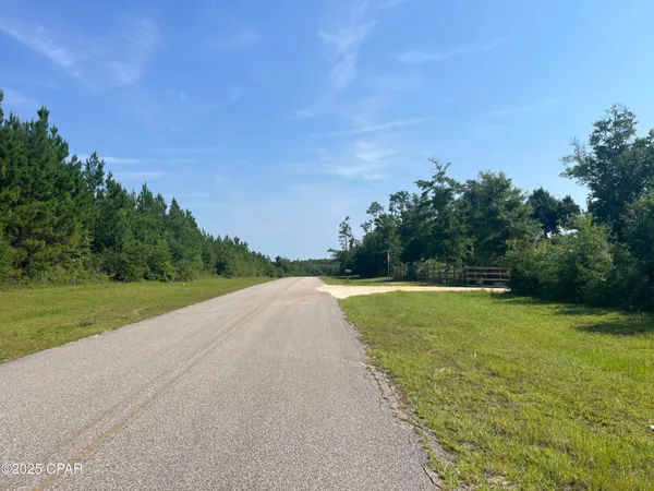 $75,000 | 0 Southeast Nadine Stone Landing Road, Wewahitchka, FL 32449