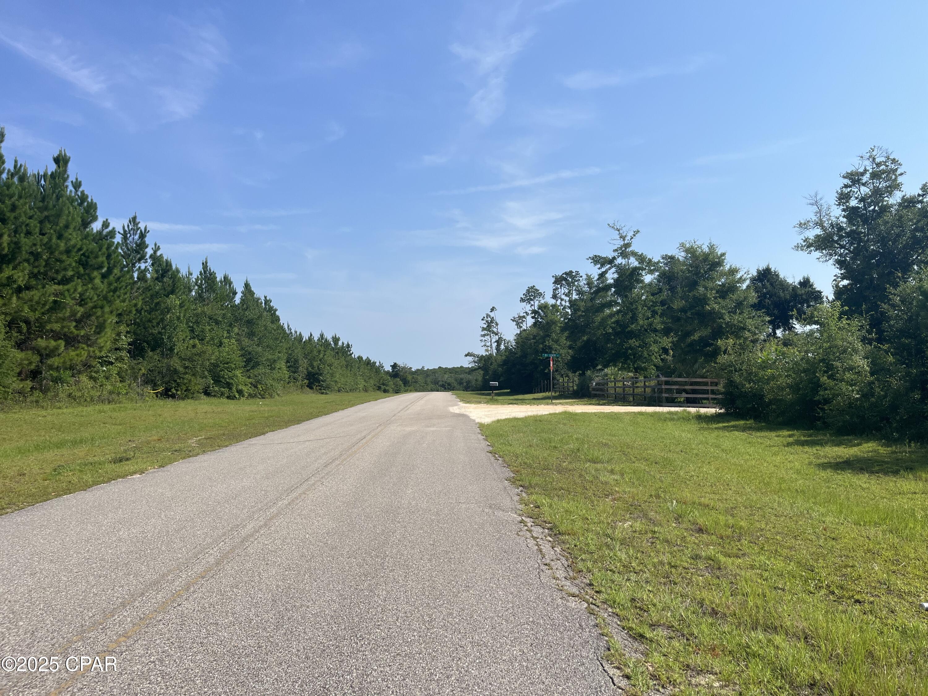 0 Southeast Nadine Stone Landing Road Wewahitchka, FL 32449 - Photo 5 of 6