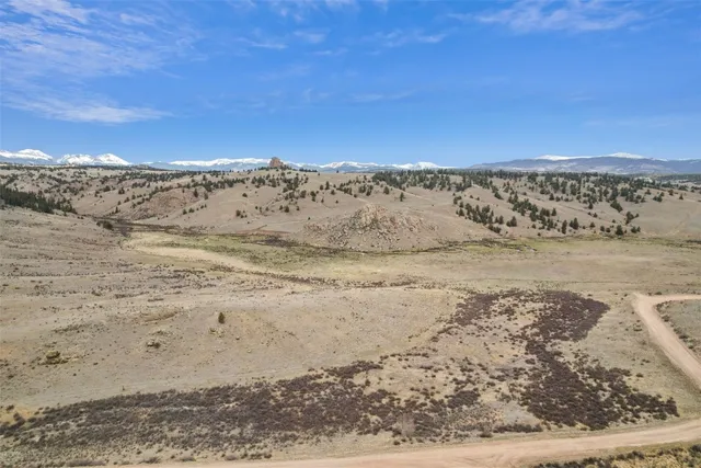 a view of a dry yard with green space