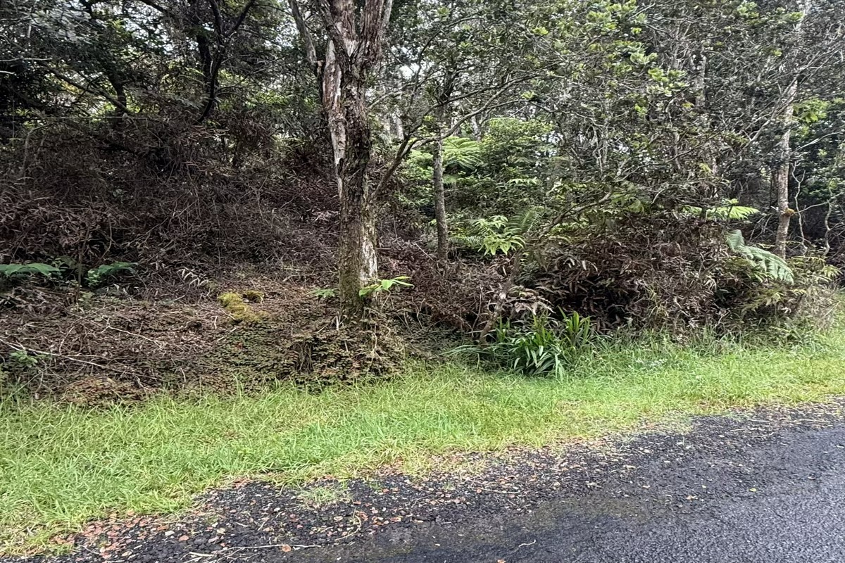 67 Rd C Volcano, HI 96785 - Photo 3 of 5