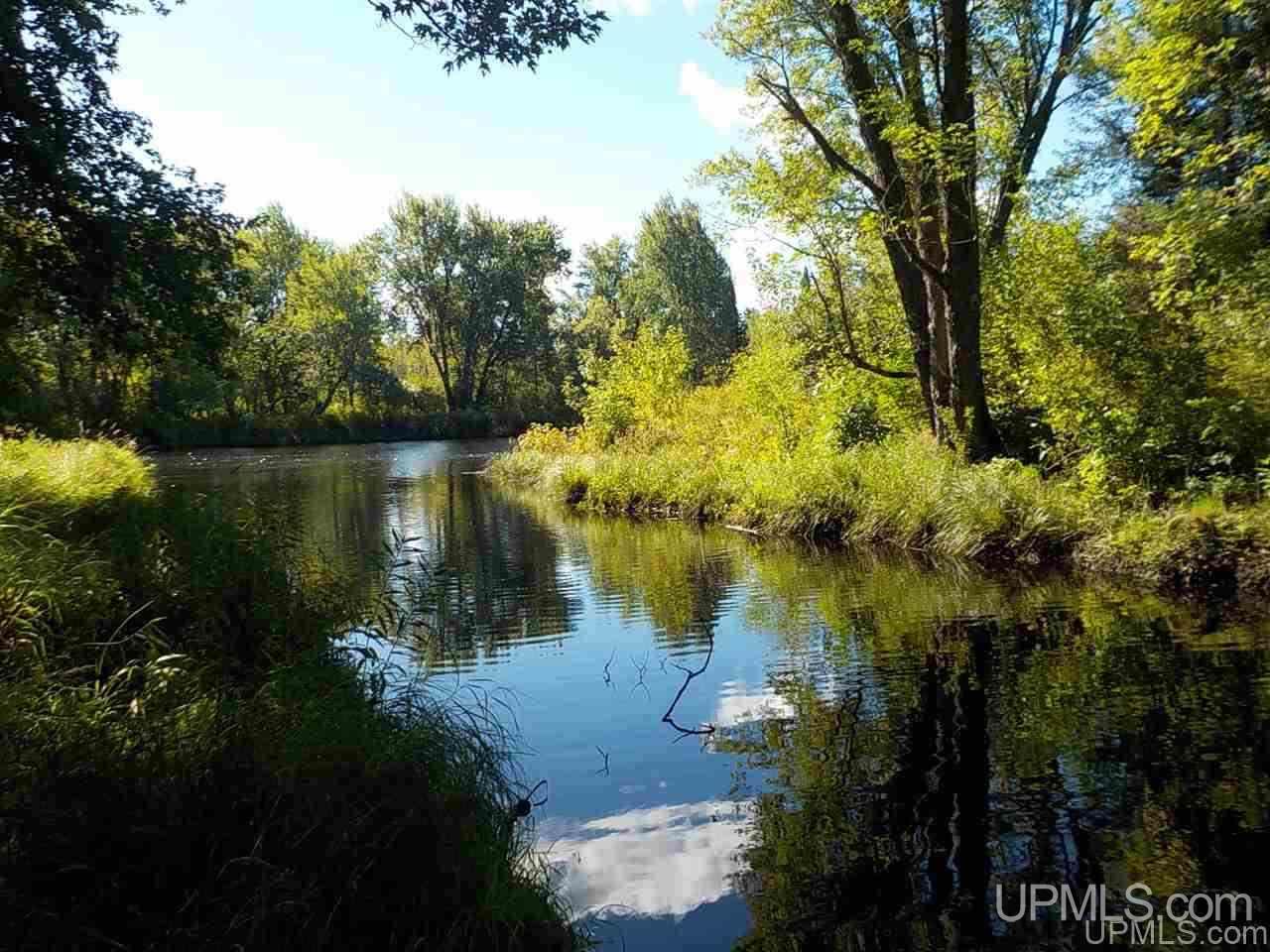 Tbd Parks Farm Road Iron River, MI 49920 - Photo 5 of 31