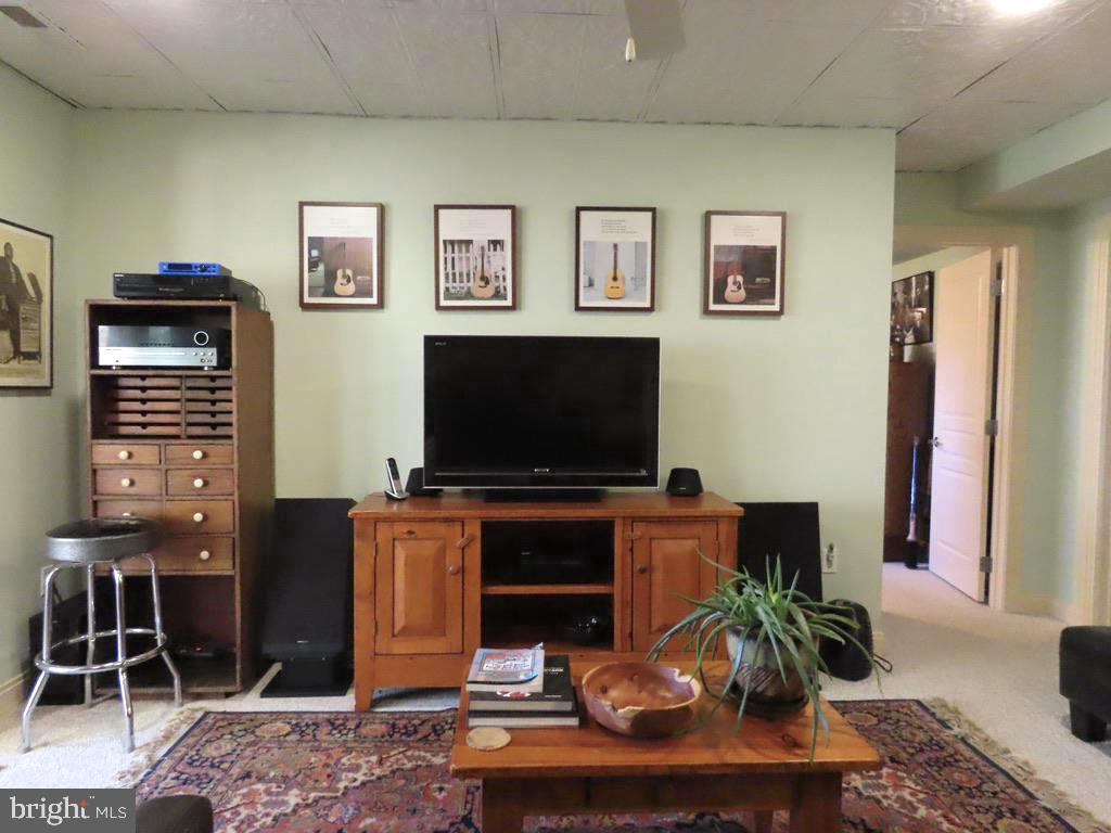 3016 Etlan Road Etlan, VA 22719 - Photo 29 of 42 Family Room