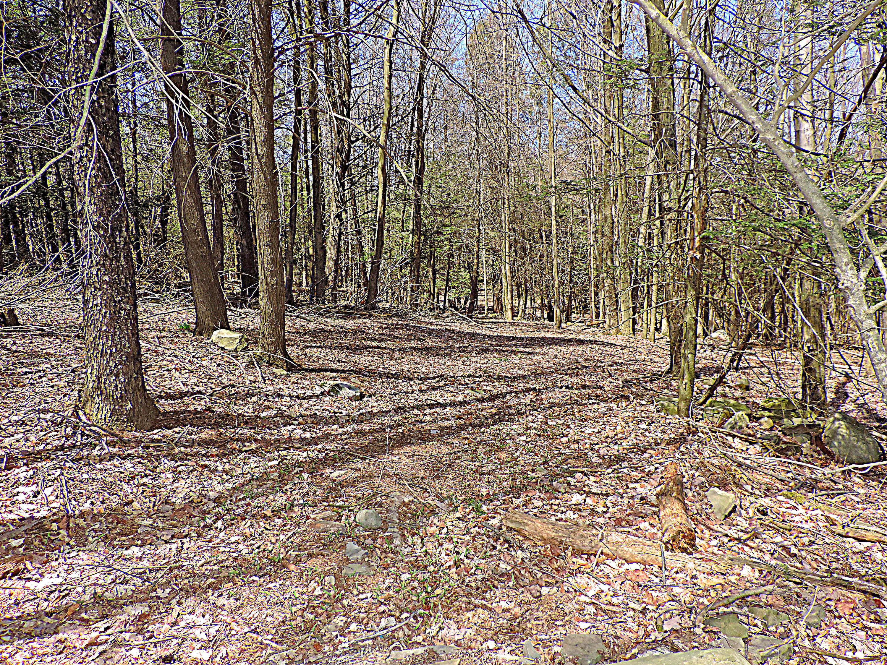 441 Huckleberry Road Newfoundland, PA 18445 - Photo 45 of 58