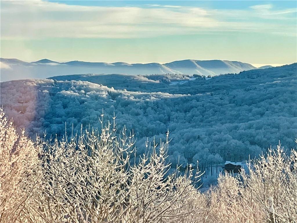 128 Village Road Beech Mountain, NC 28604 - Photo 4 of 32