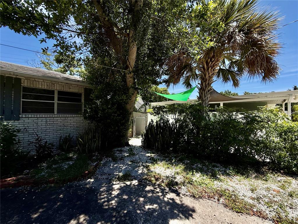 1004 Connecticut Road Tarpon Springs, FL 34689 - Photo 3 of 57 a view of a backyard