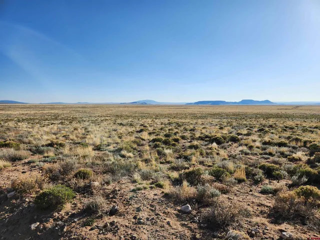 a view of a field with a mountain in the background
