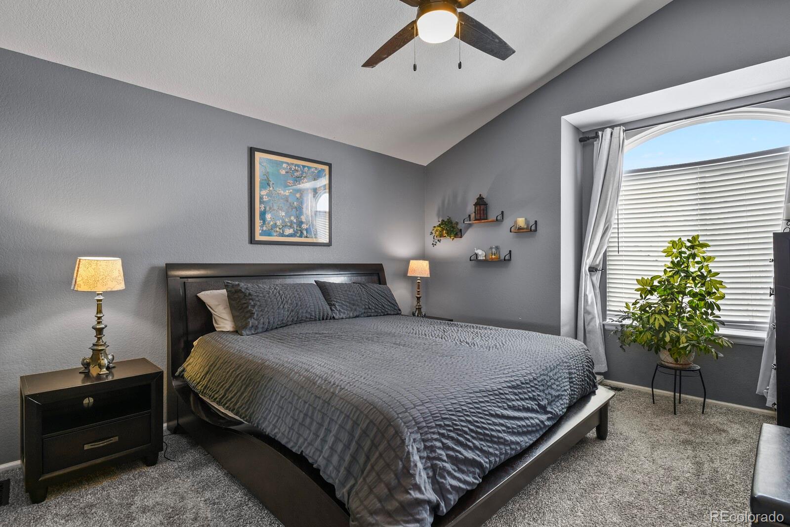 9779 Goldfinch Lane Highlands Ranch, CO 80129 - Photo 21 of 50 Gallery Image 21