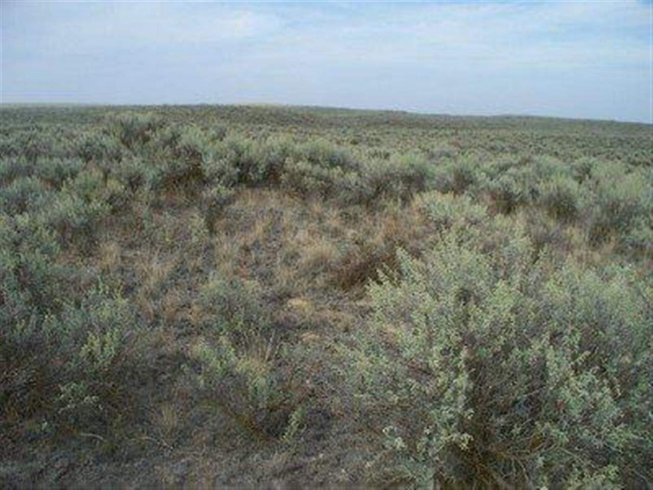 Xxx Totusek Road East Odessa, WA 99159 - Photo 2 of 13 Gallery Image 2