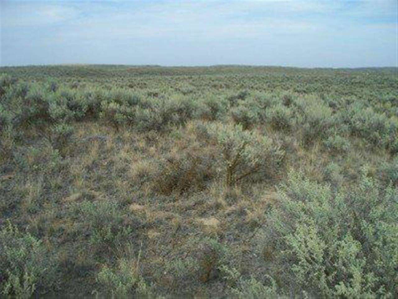 Xxx Totusek Road East Odessa, WA 99159 - Photo 3 of 13 Gallery Image 3