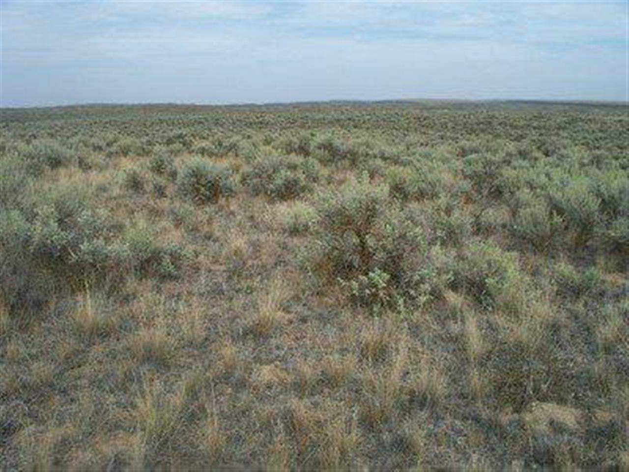 Xxx Totusek Road East Odessa, WA 99159 - Photo 4 of 13 Gallery Image 4