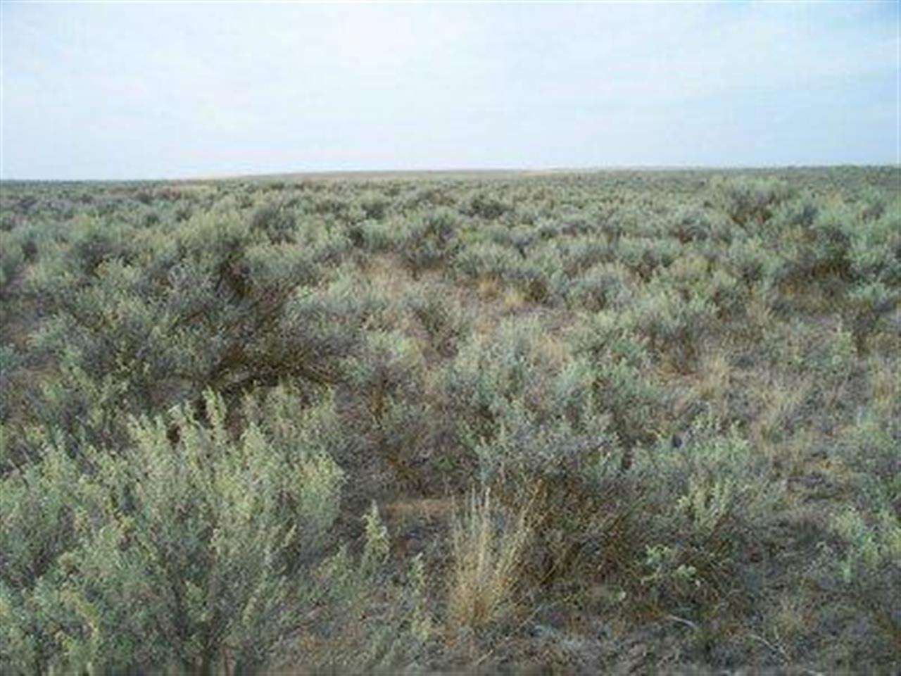 Xxx Totusek Road East Odessa, WA 99159 - Photo 5 of 13 Gallery Image 5