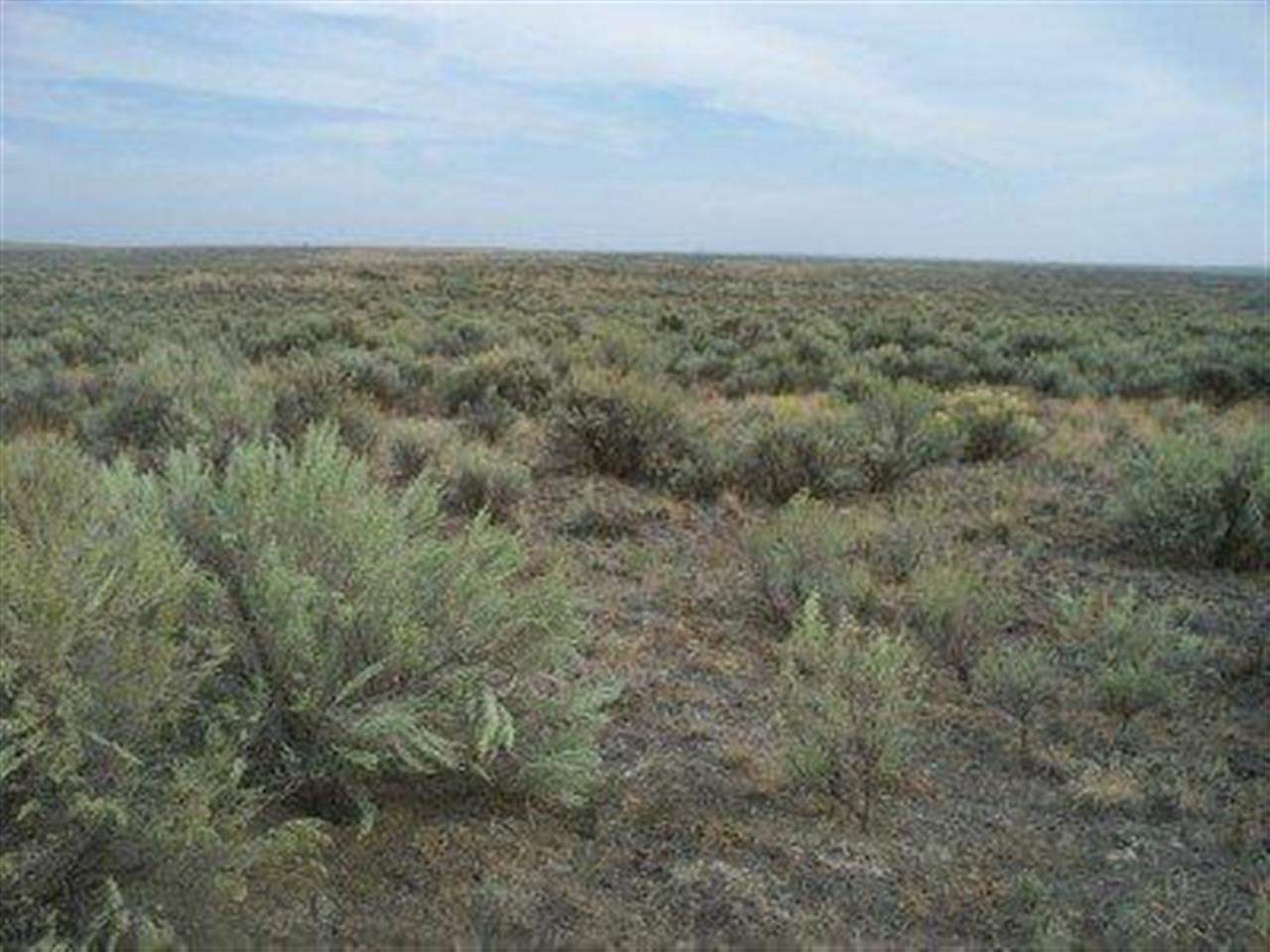 Xxx Totusek Road East Odessa, WA 99159 - Photo 6 of 13 Gallery Image 6