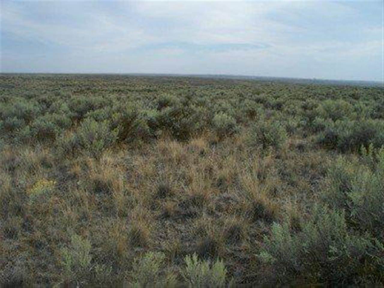 Xxx Totusek Road East Odessa, WA 99159 - Photo 7 of 13 Gallery Image 7