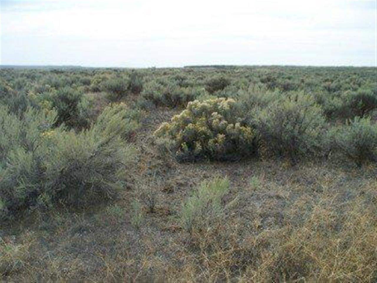 Xxx Totusek Road East Odessa, WA 99159 - Photo 8 of 13 Gallery Image 8