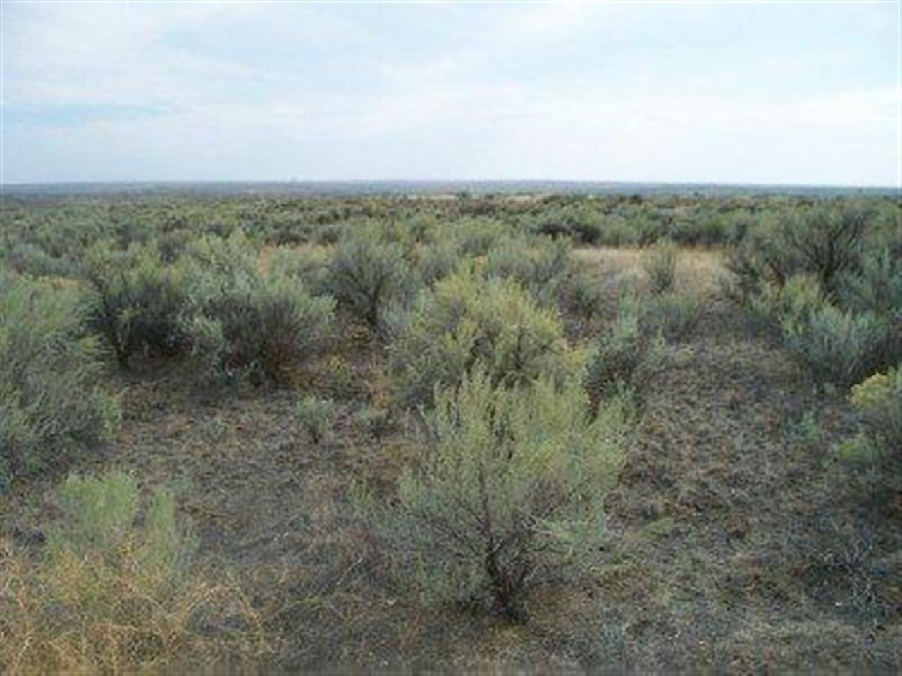 Xxx Totusek Road East Odessa, WA 99159 - Photo 9 of 13 Gallery Image 9