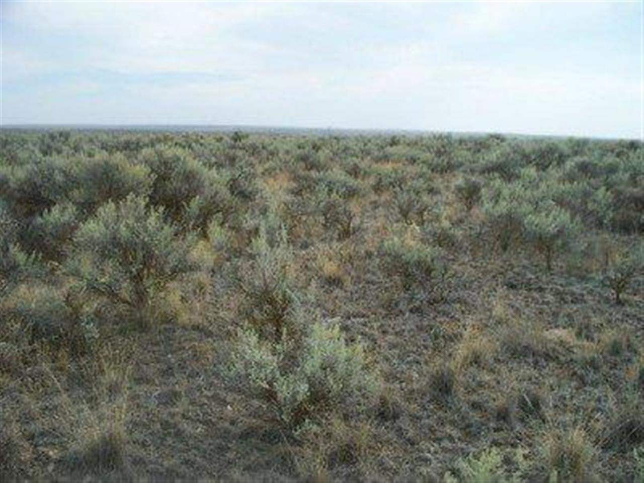 Xxx Totusek Road East Odessa, WA 99159 - Photo 10 of 13 Gallery Image 10