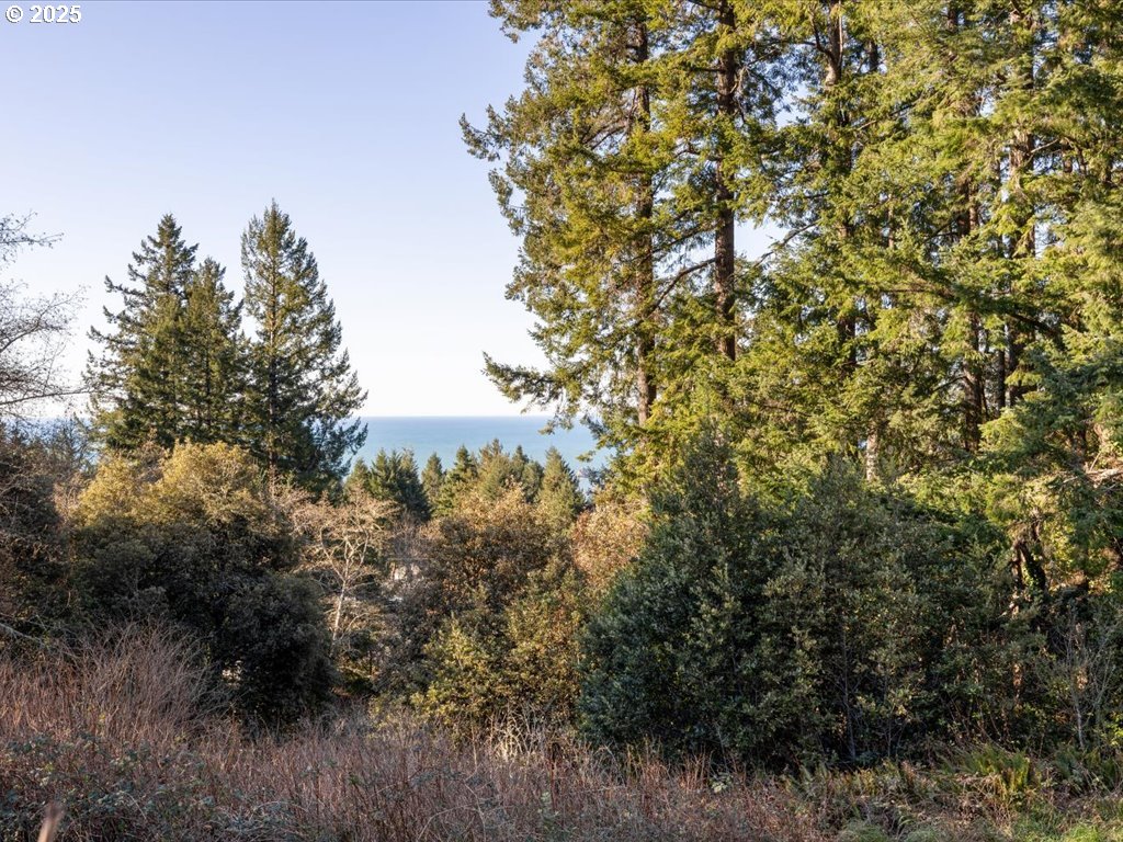 17862 Rainbow Rock Road Brookings, OR 97415 - Photo 9 of 48 View