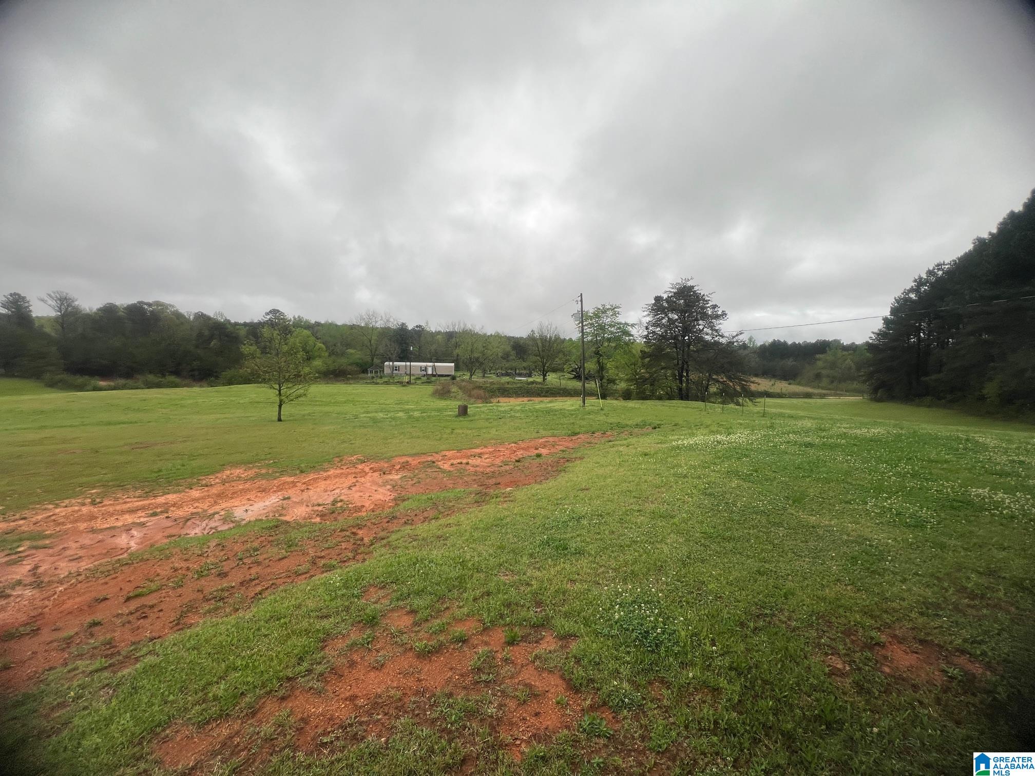 11970 Lost Road Berry, AL 35546 - Photo 21 of 32