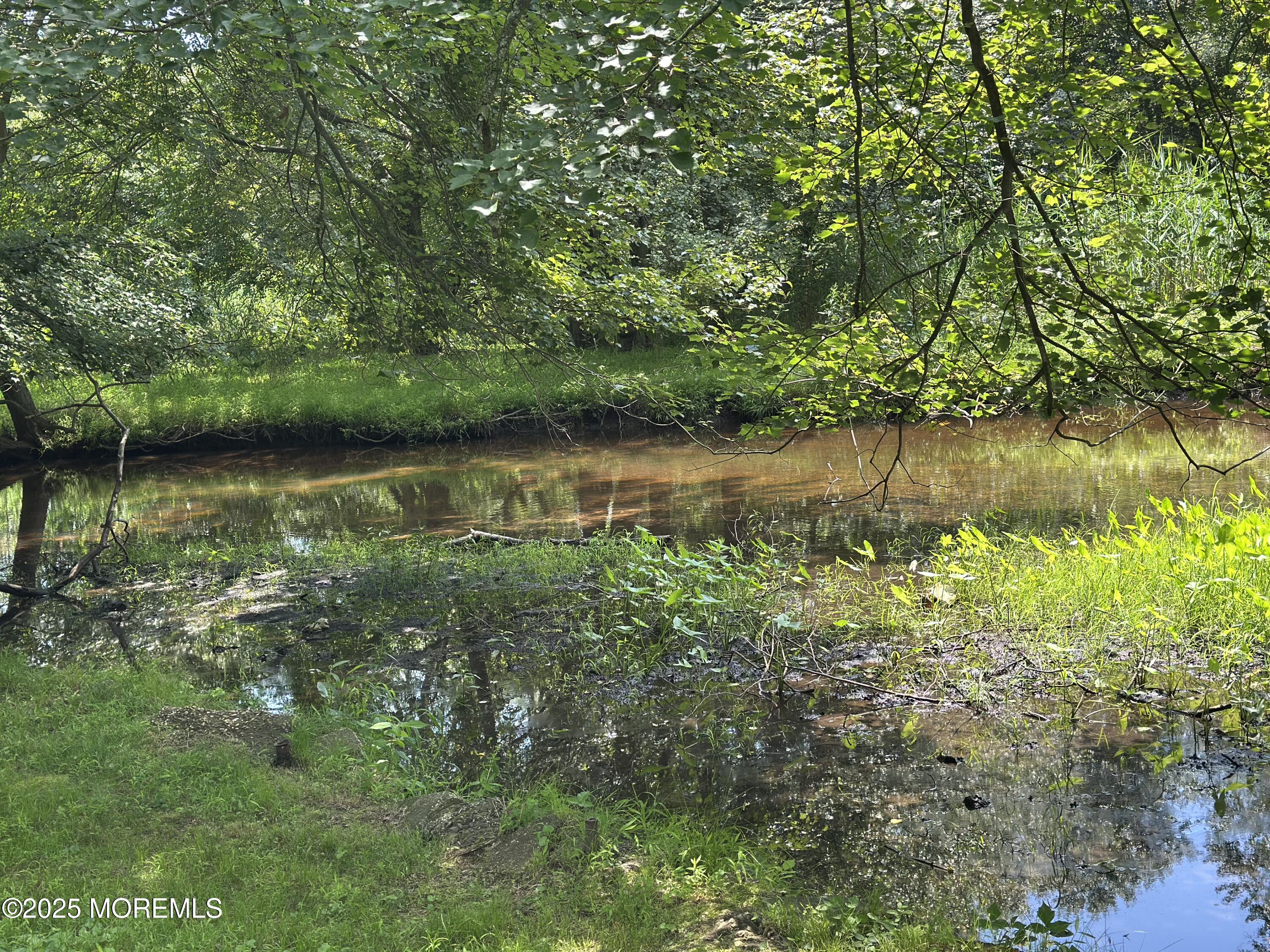 1007 Shore Road Spring Lake Heights, NJ 07762 - Photo 45 of 53 a view of a lake with a forest