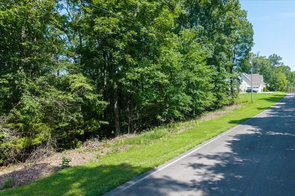 a view of a yard with plants and large trees