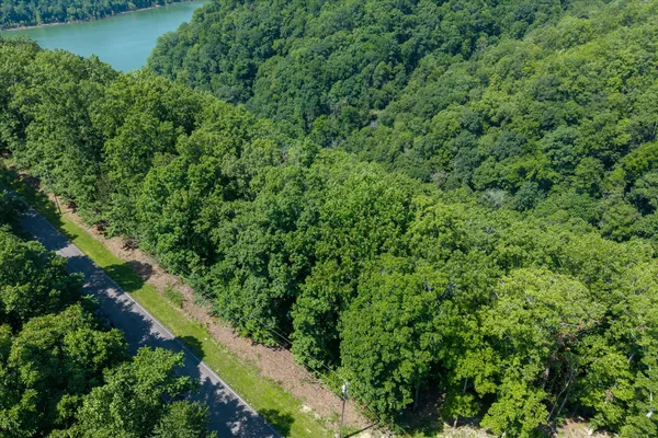 a view of a forest with a lake