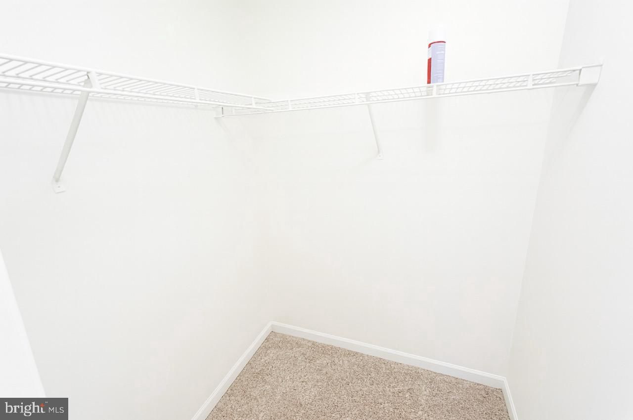 45293 Rumsford Lane California, MD 20619 - Photo 9 of 12 walk in closet