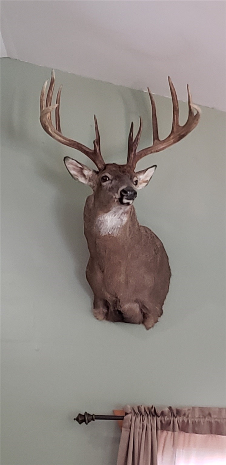 960 Race Track Road Centralia, IL 62801 - Photo 43 of 46 Gallery Image 43